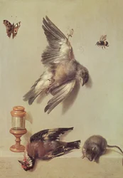 Natureza-morta com aves mortas e um rato, 1712